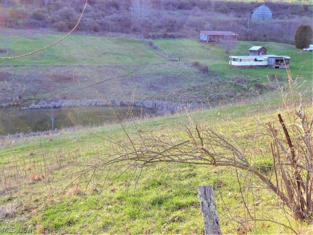 1501 Vicars Ridge Road Gandeeville, WV 25243 - Photo 4 of 16