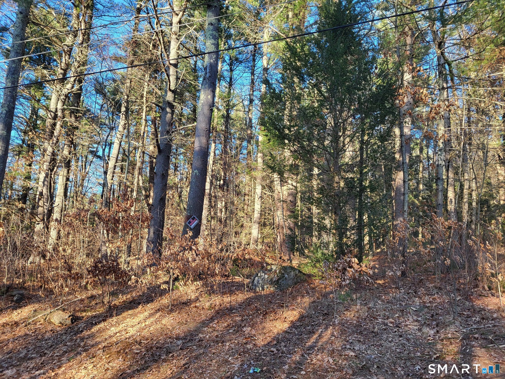 14 Goodell Road Stafford, CT 06076 - Photo 2 of 10