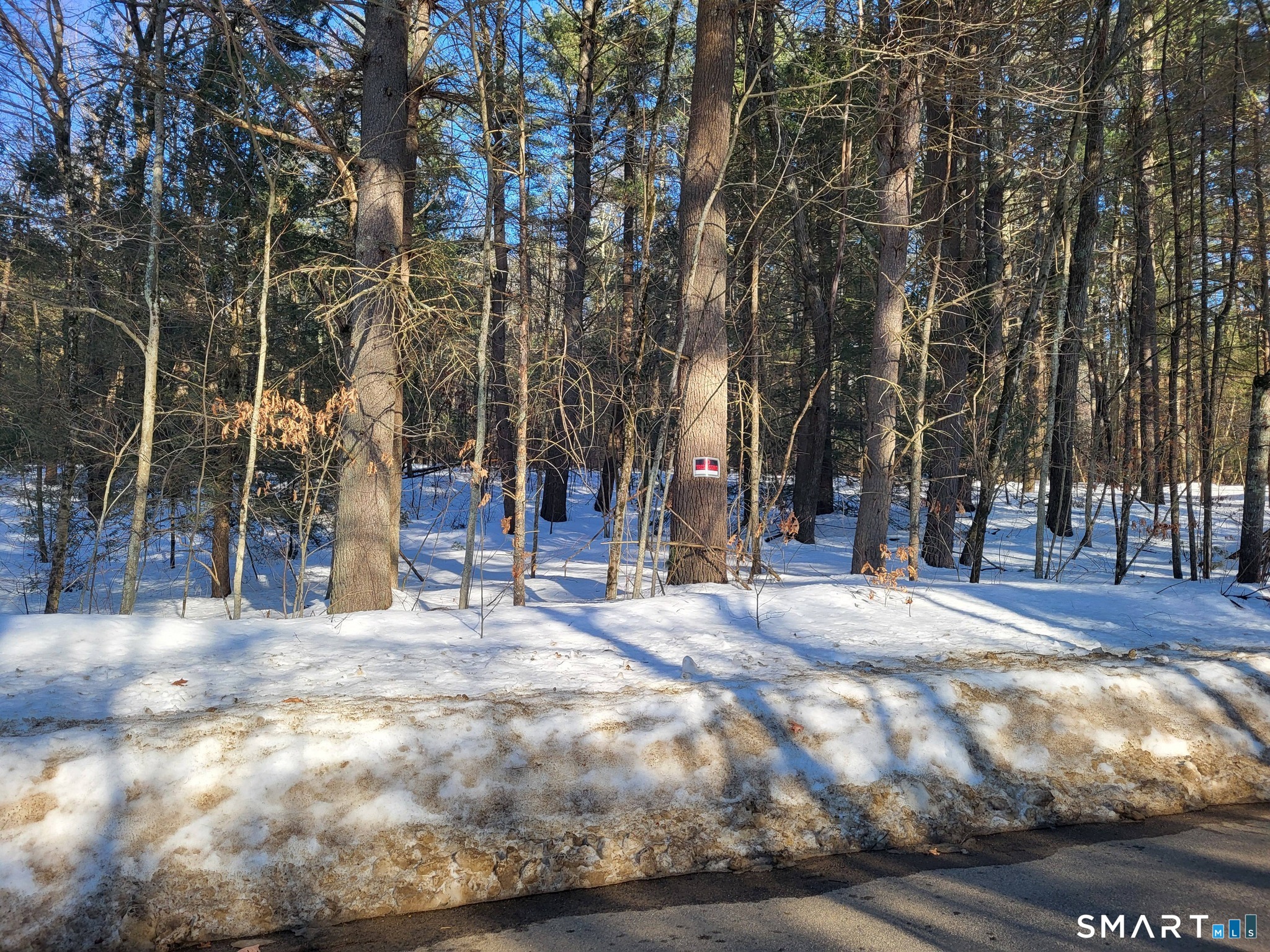 14 Goodell Road Stafford, CT 06076 - Photo 10 of 10