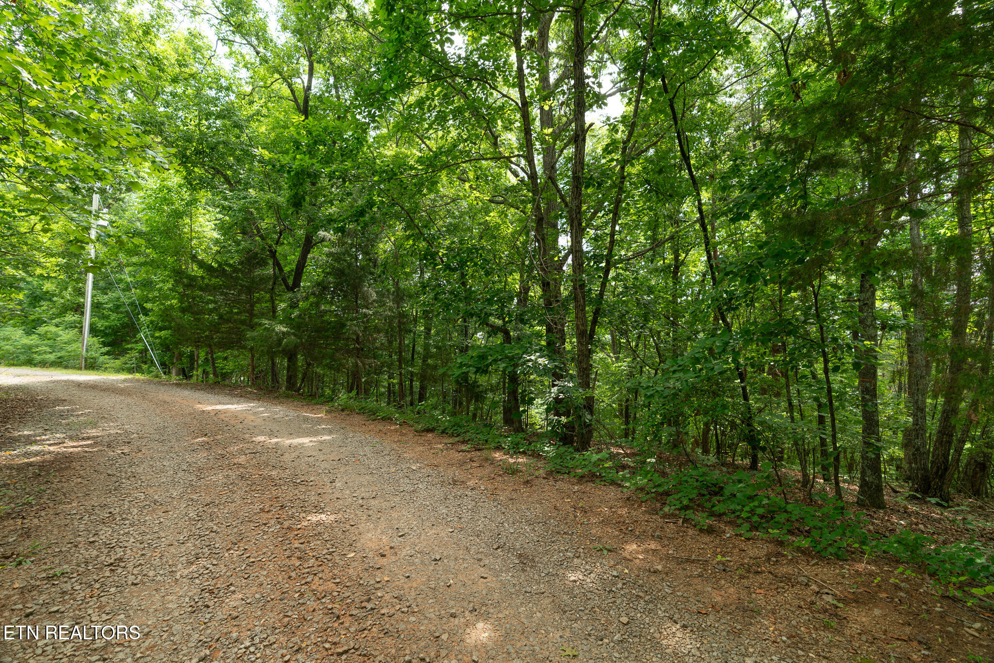Old Citigo Road Vonore, TN 37885 - Photo 34 of 35 untitled-2