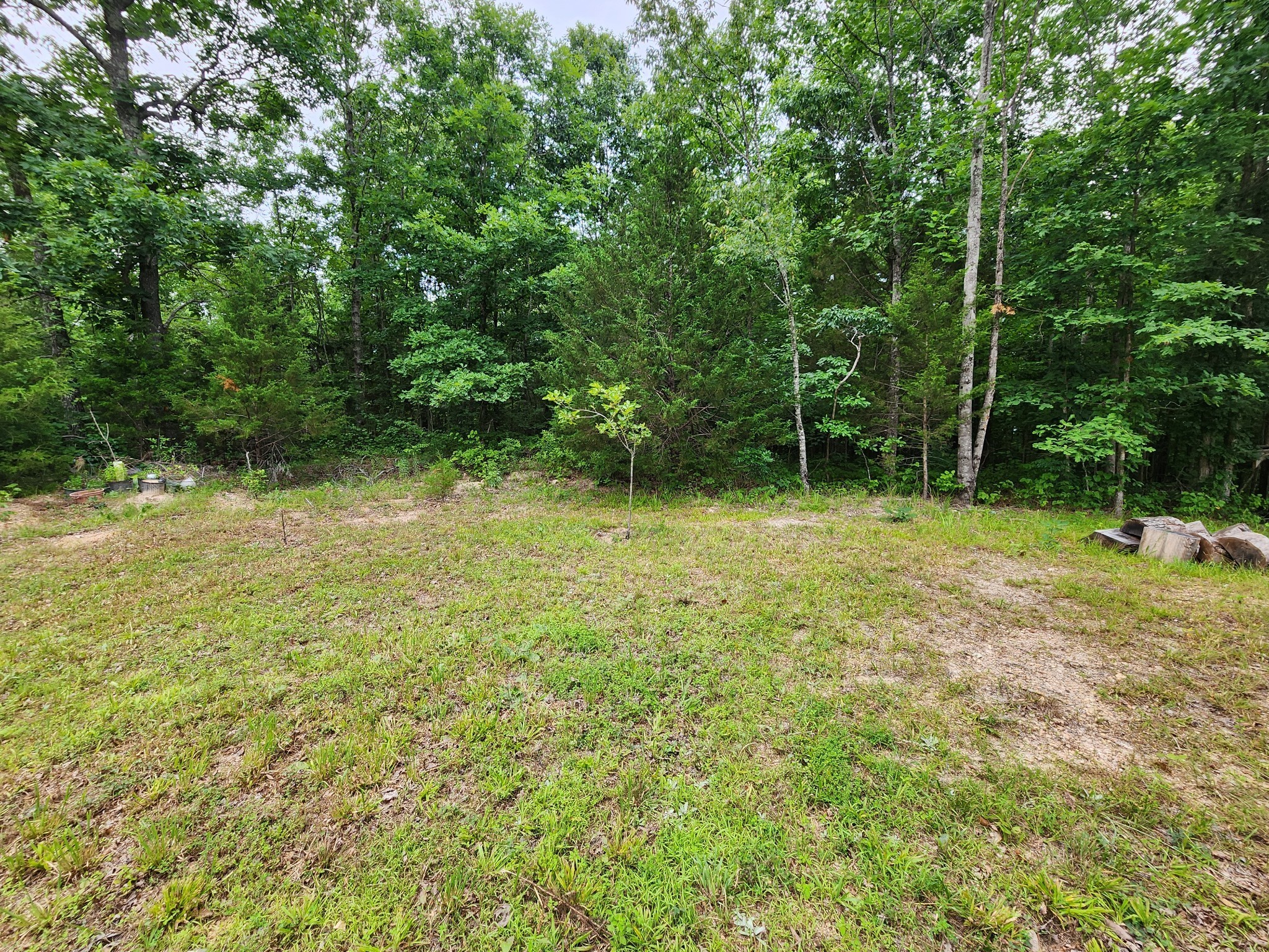 1135 Seiber Ridge Road Hohenwald, TN 38462 - Photo 16 of 18