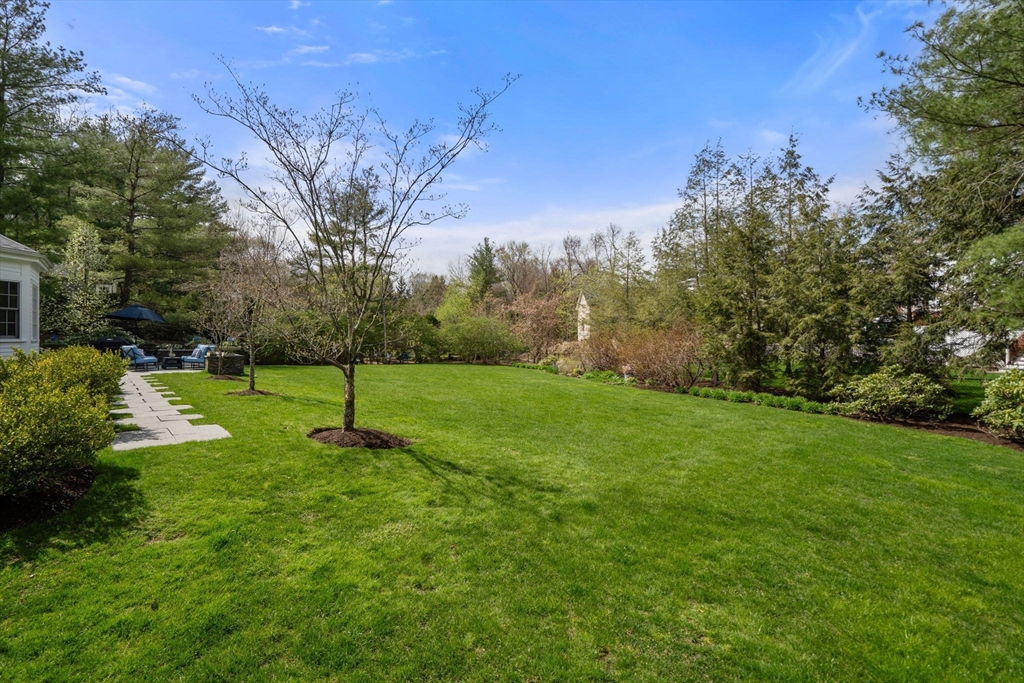 37 Oakridge Road Wellesley, MA 02481 - Photo 39 of 39 a view of a park with large trees
