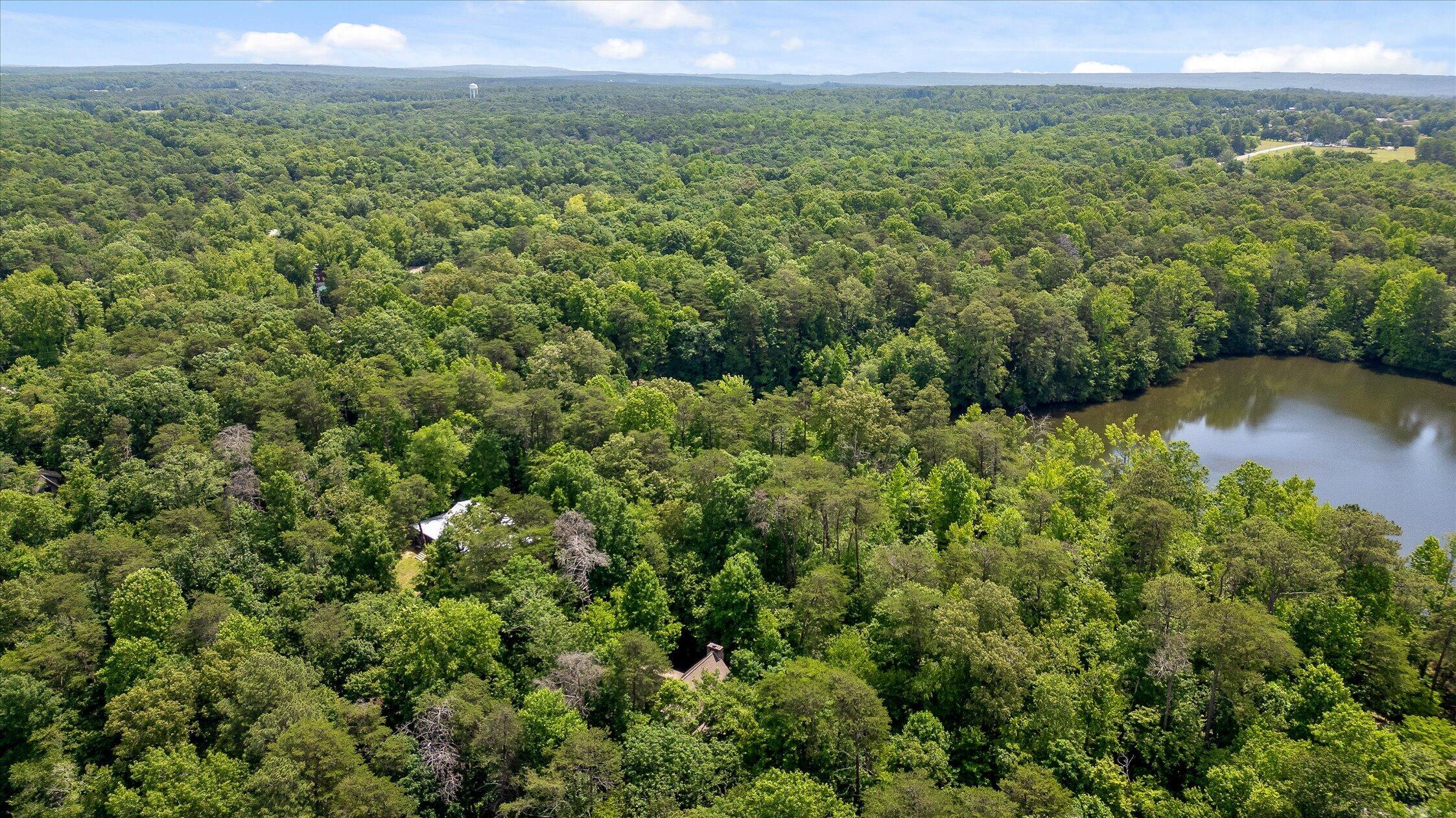 390 Moon Lake Road Mentone, AL 35984 - Photo 57 of 60 06-Moon Lake-5