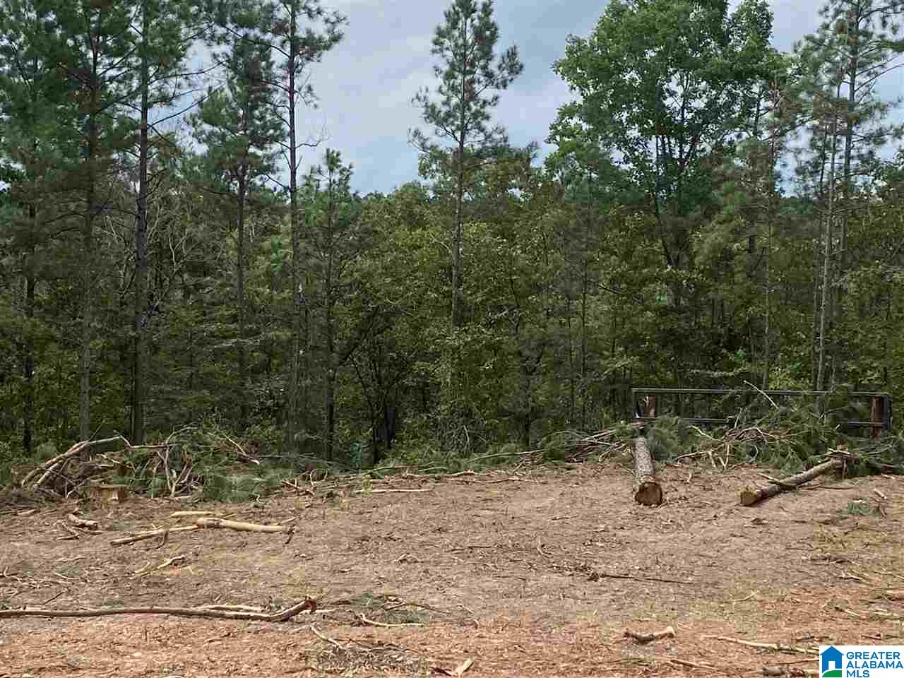 0 County Road 199, Unit 19 / ACRES Clanton, AL 35046 - Photo 16 of 17