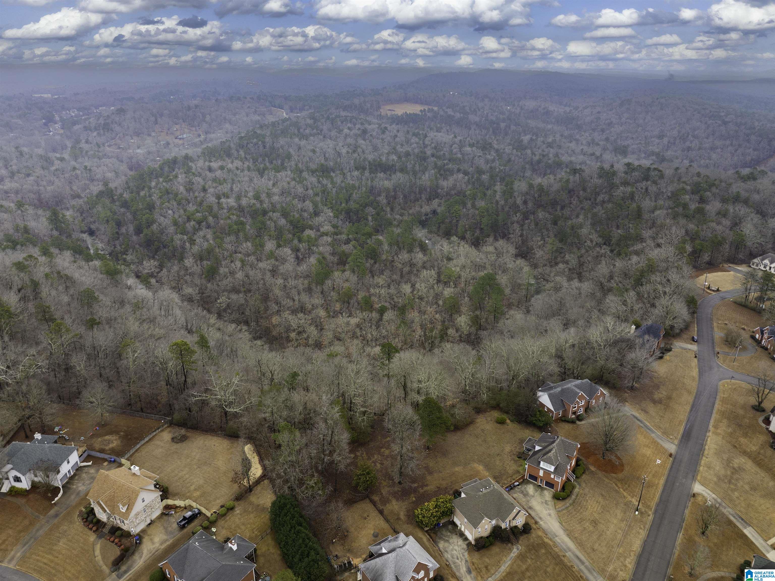 7618 Roper Tunnel Road Trussville, AL 35173 - Photo 48 of 49