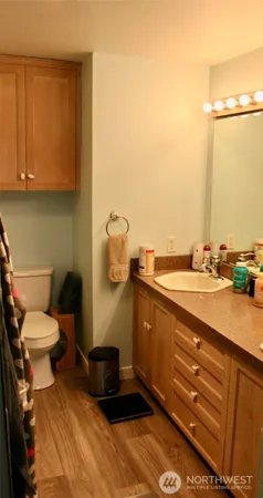 a bathroom with a sink and a toilet