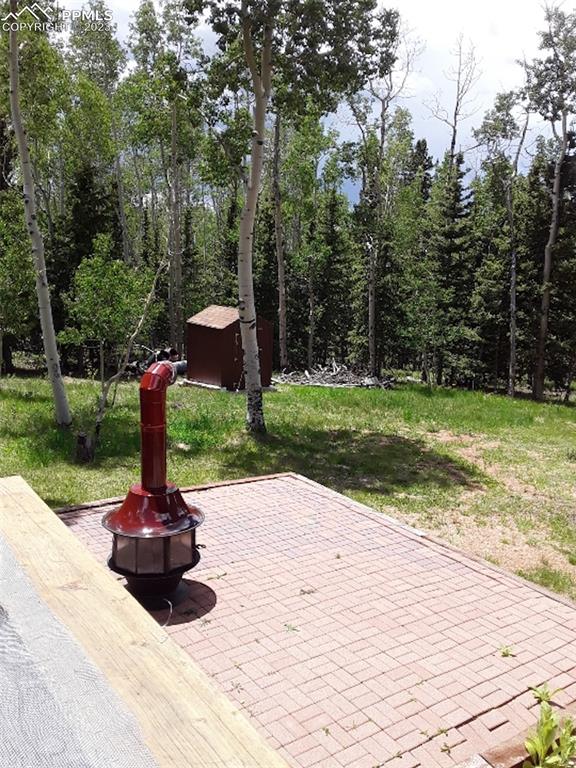 1011 Castle Ridge View Cripple Creek, CO 80813 - Photo 5 of 48 a fire hydrant in the middle of a park