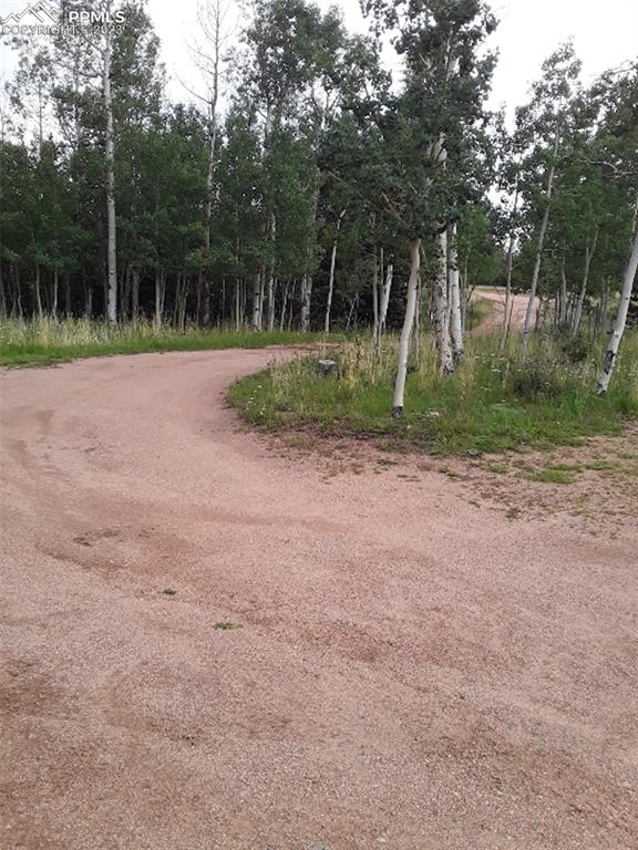 1011 Castle Ridge View Cripple Creek, CO 80813 - Photo 7 of 48 a view of a park