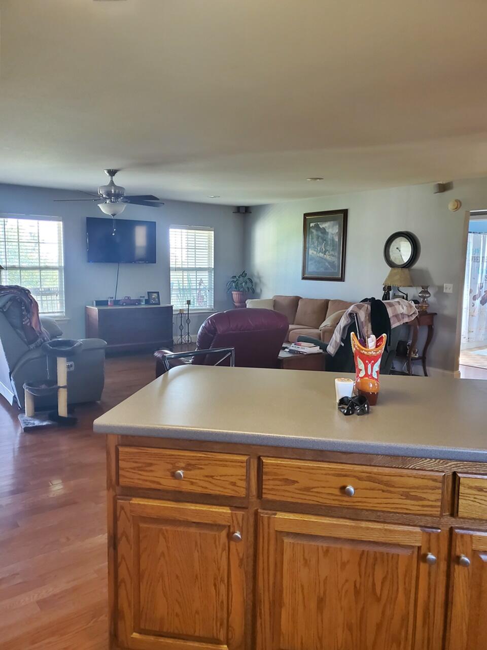 375 Sandy Lane Dayton, TN 37321 - Photo 3 of 37 3