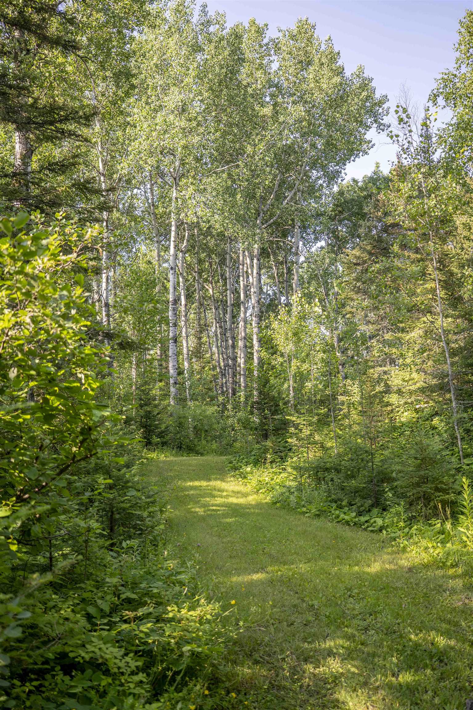 461 Moose Valley Road Hovland, MN 55606 - Photo 2 of 64 Gallery Image 2
