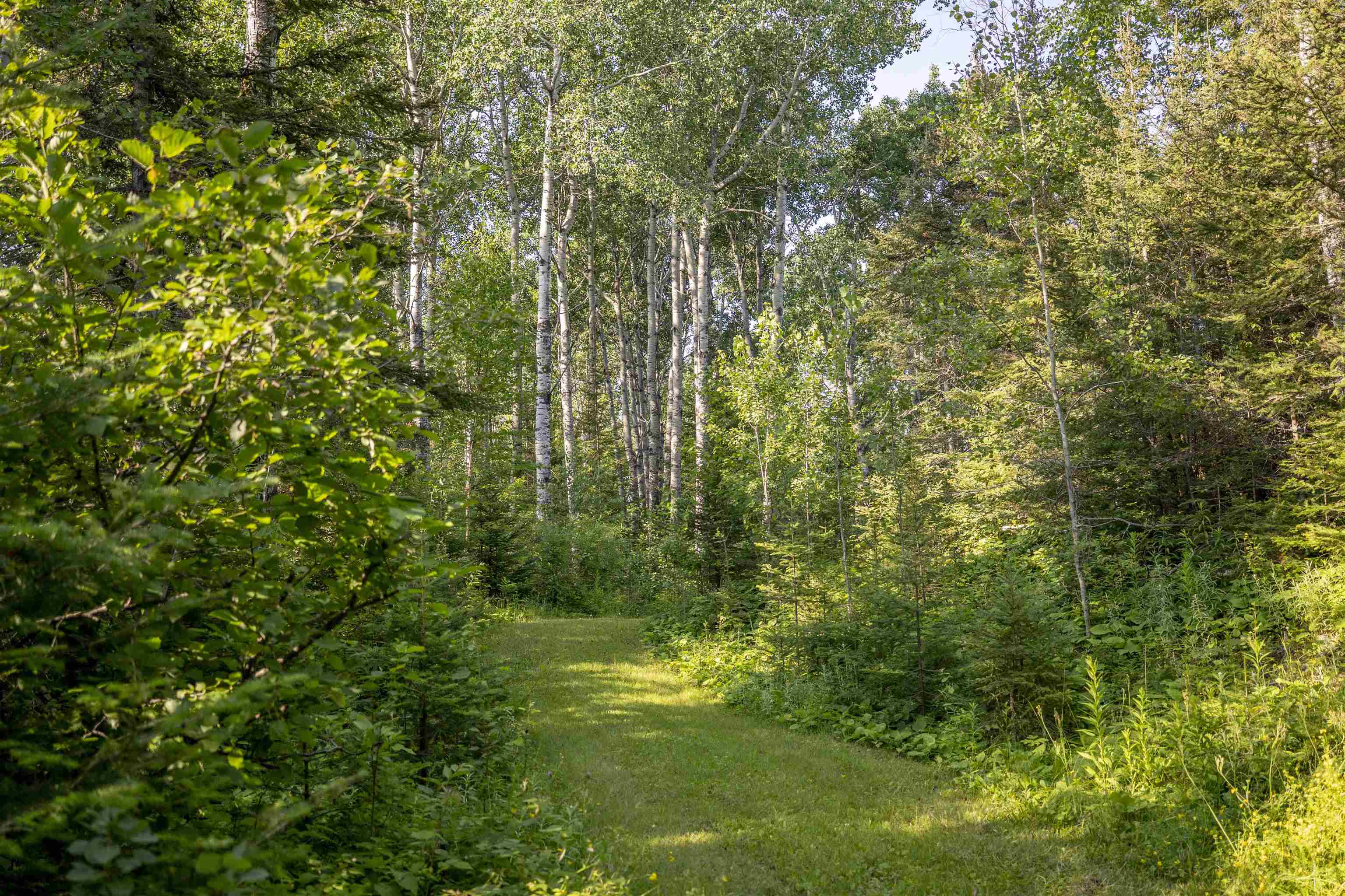 461 Moose Valley Road Hovland, MN 55606 - Photo 3 of 64 Gallery Image 3