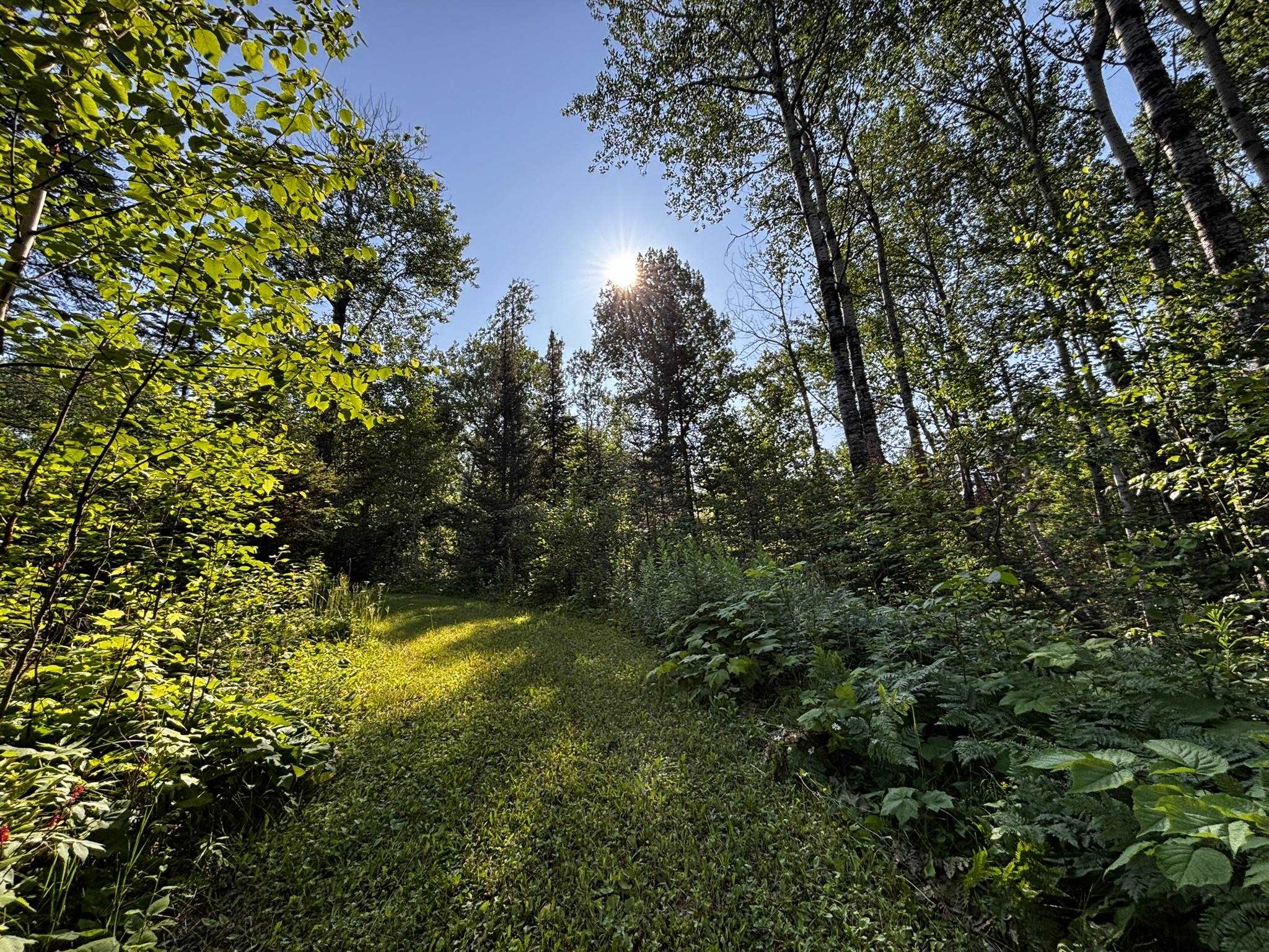 461 Moose Valley Road Hovland, MN 55606 - Photo 47 of 64 Gallery Image 47