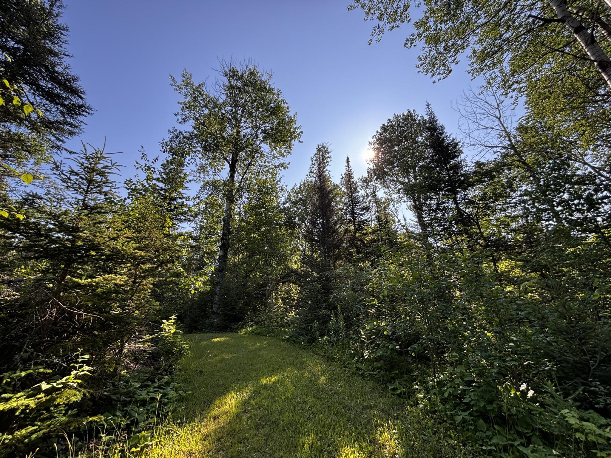 461 Moose Valley Road Hovland, MN 55606 - Photo 48 of 64 Gallery Image 48