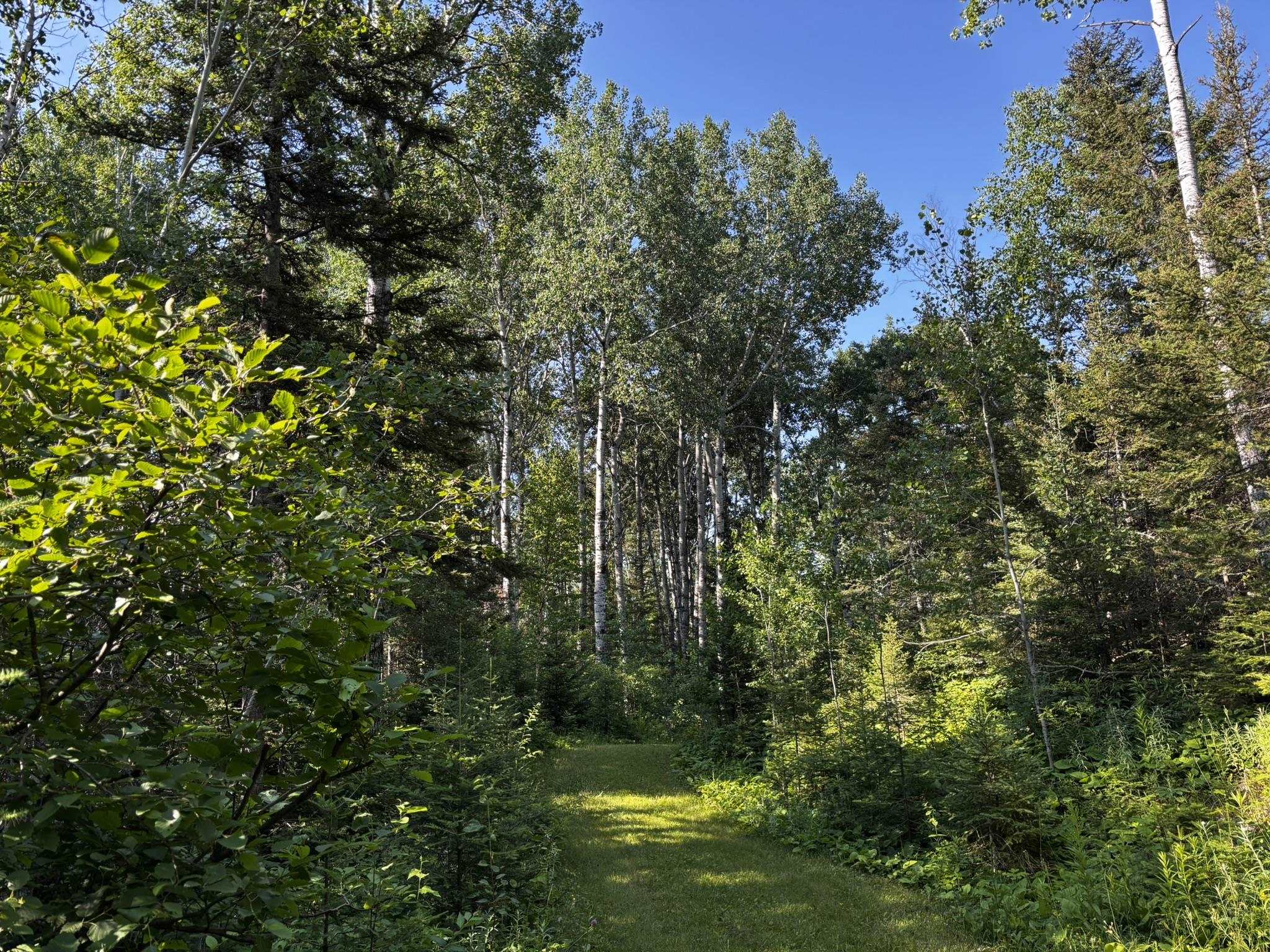 461 Moose Valley Road Hovland, MN 55606 - Photo 49 of 64 Gallery Image 49