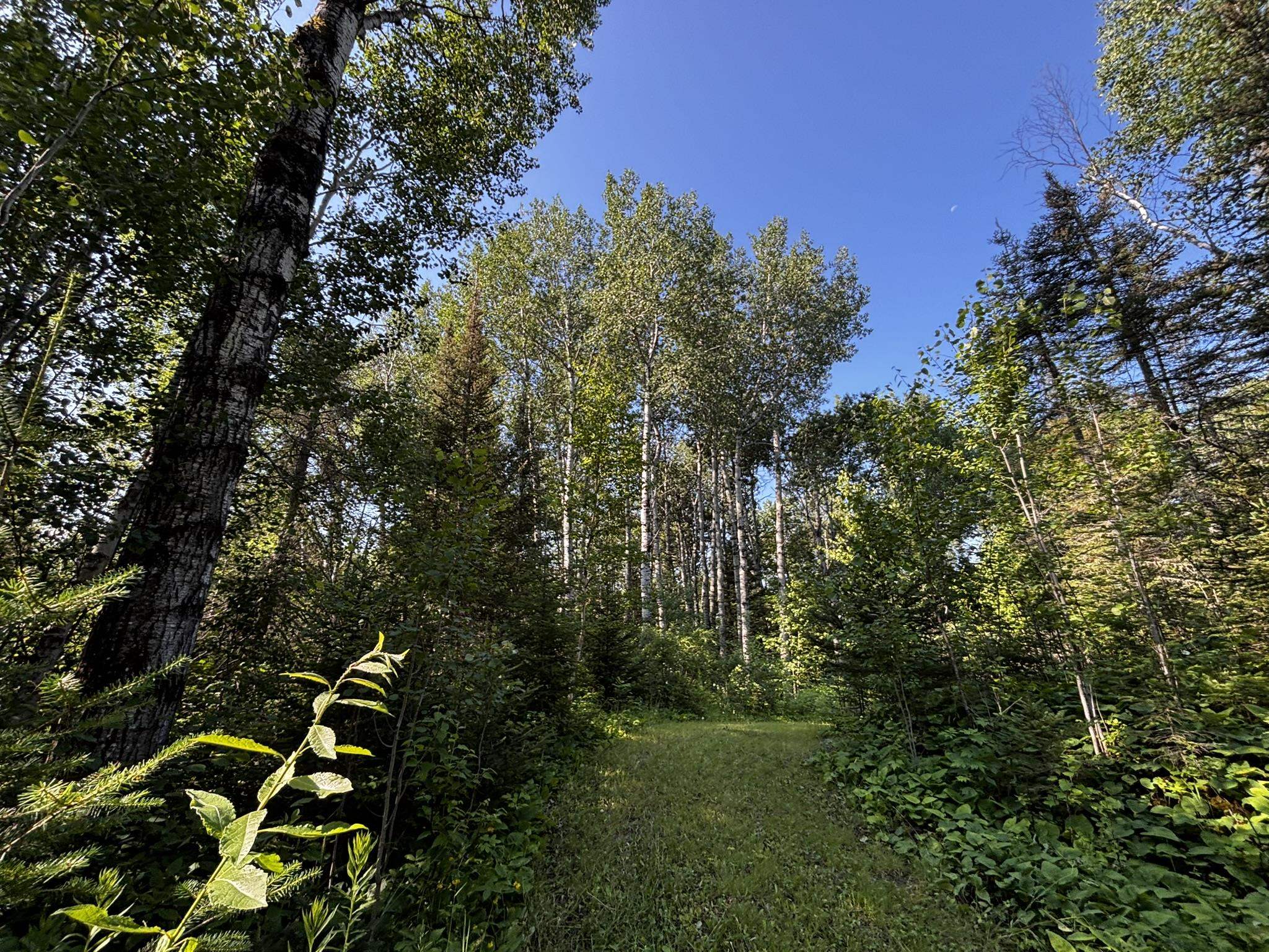461 Moose Valley Road Hovland, MN 55606 - Photo 50 of 64 Gallery Image 50