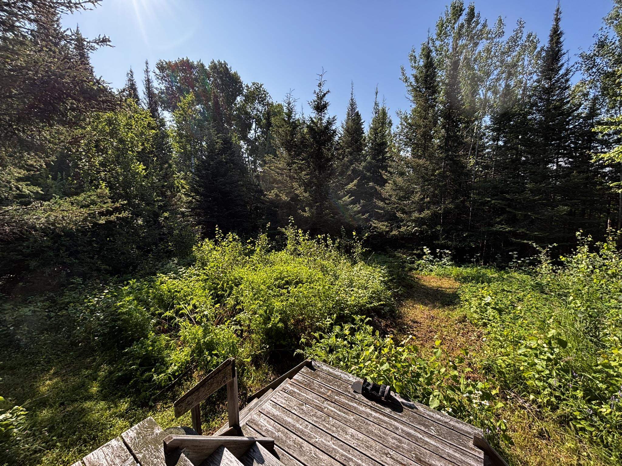 461 Moose Valley Road Hovland, MN 55606 - Photo 56 of 64 Gallery Image 56