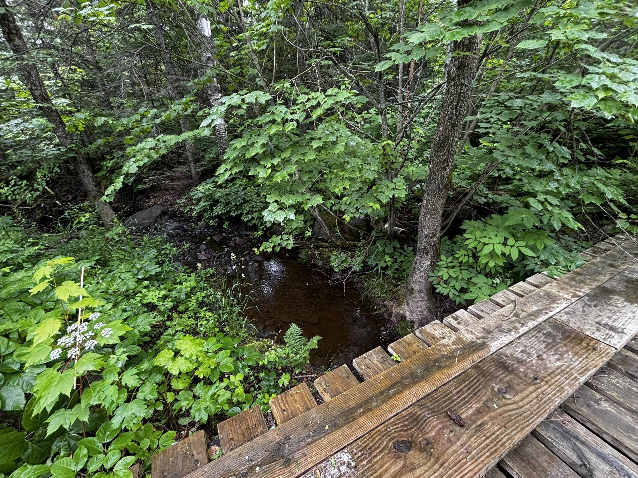 461 Moose Valley Road Hovland, MN 55606 - Photo 61 of 64 Gallery Image 61