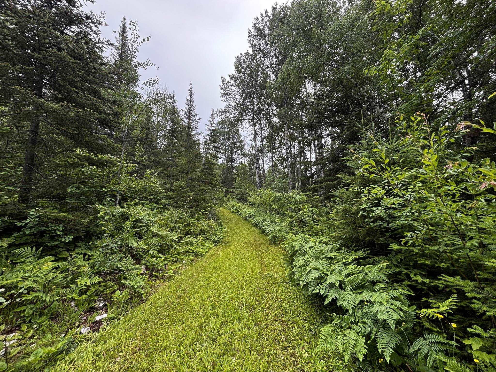 461 Moose Valley Road Hovland, MN 55606 - Photo 63 of 64 Gallery Image 63