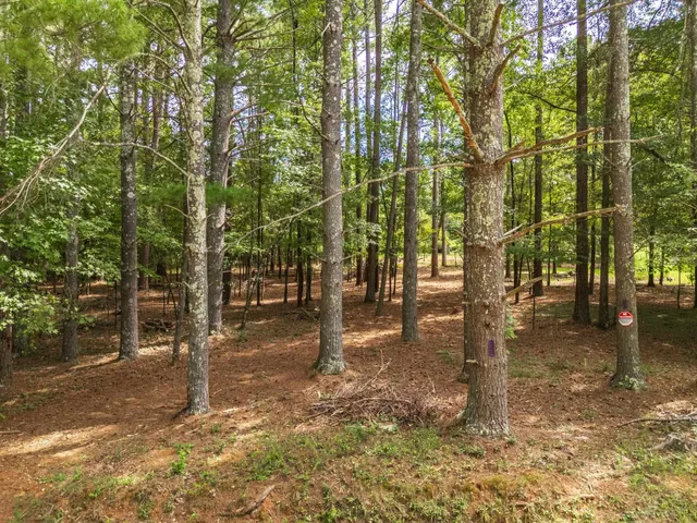 $54,000 | Lewis Chapel Rd Road, Spartanburg, SC 29307