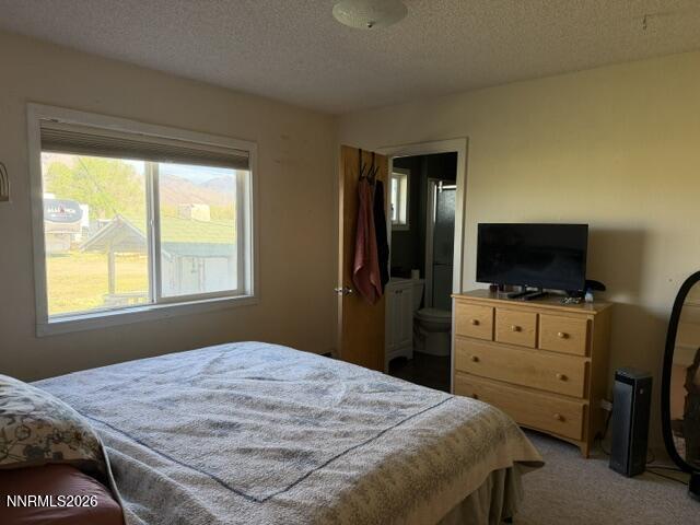 61 Rivers Road Smith, NV 89430 - Photo 40 of 57 a bedroom with a bed and a flat screen tv