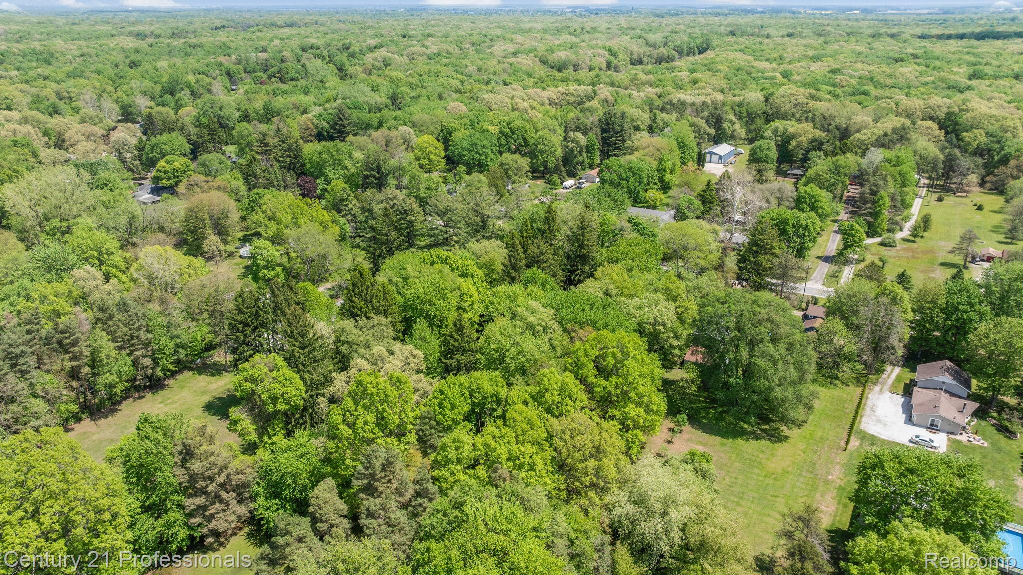 8638 Stone Road Algonac, MI 48001 - Photo 62 of 70 Bird's eye view of a forest