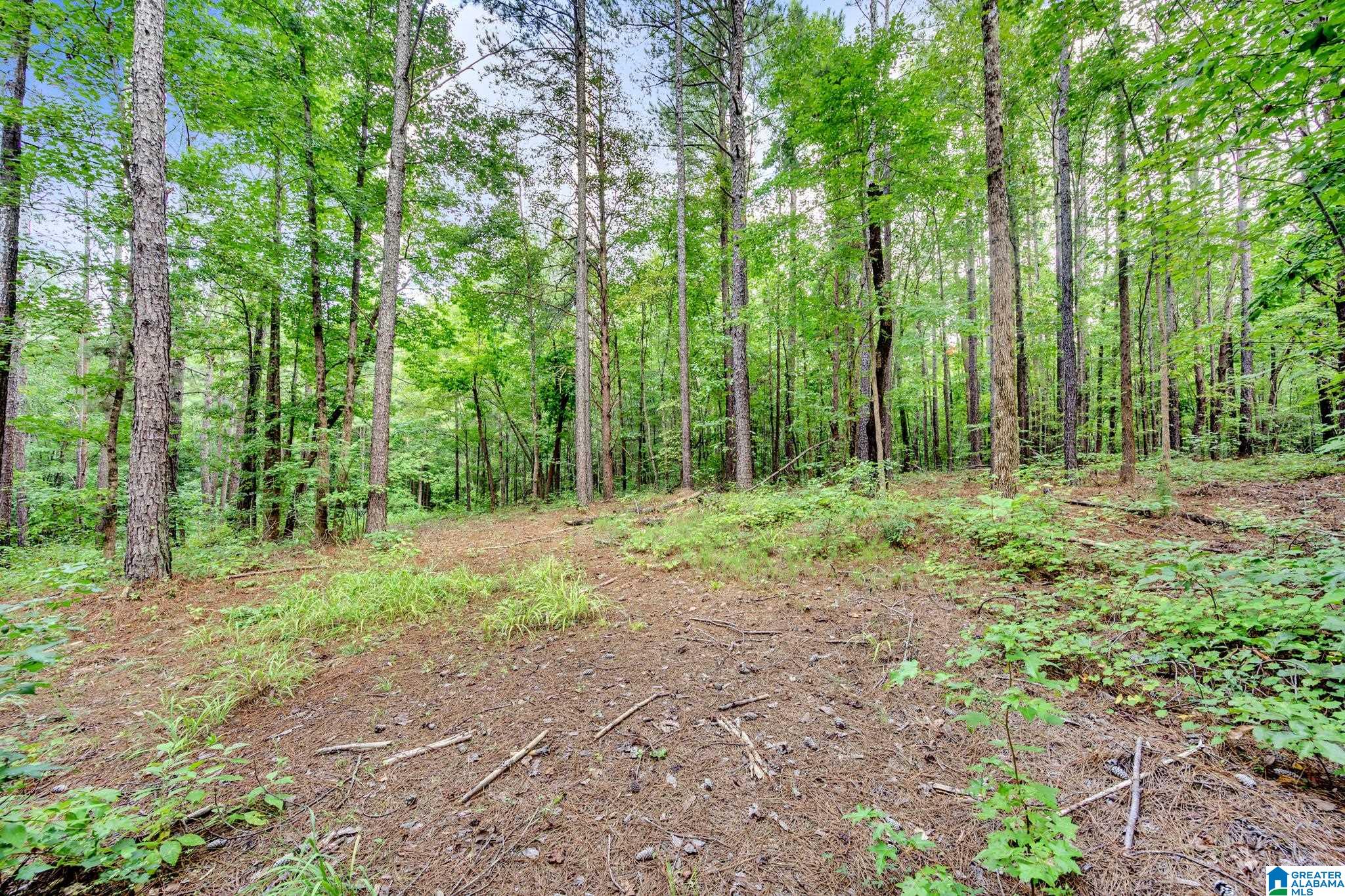 6971 Chambers Lane, Unit 1 Dora, AL 35062 - Photo 7 of 21