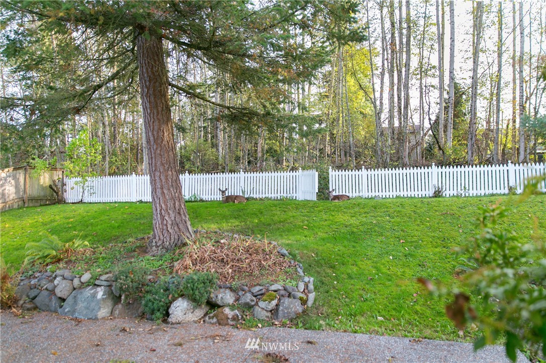 1335 McLeod Road Bellingham, WA 98226 - Photo 3 of 25