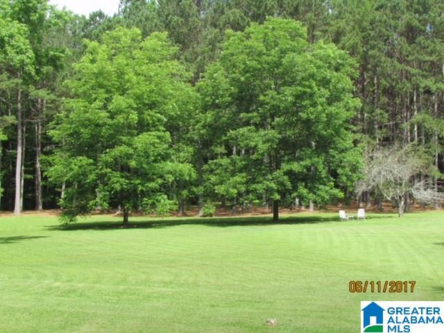 268 Royster Road Ashland, AL 36251 - Photo 9 of 22