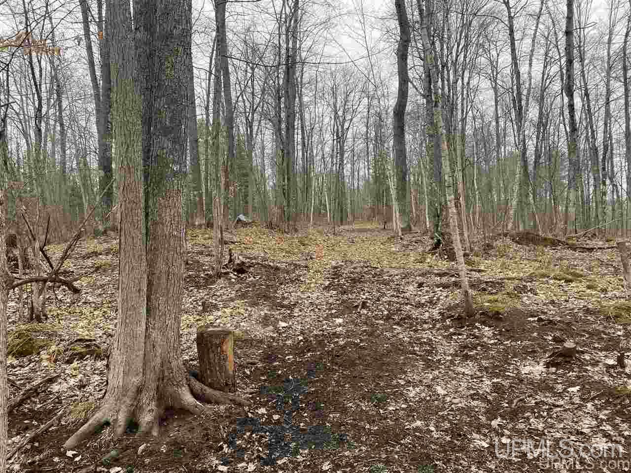Tbd Plains Cutoff Road Baraga, MI 49908 - Photo 11 of 49