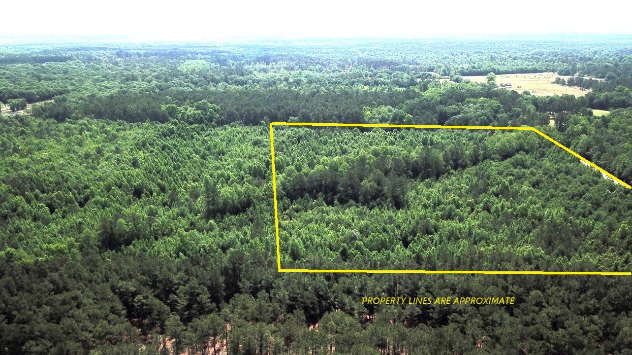 0 New Light Drive Neeses, SC 29107 - Photo 2 of 14 DJI_0011