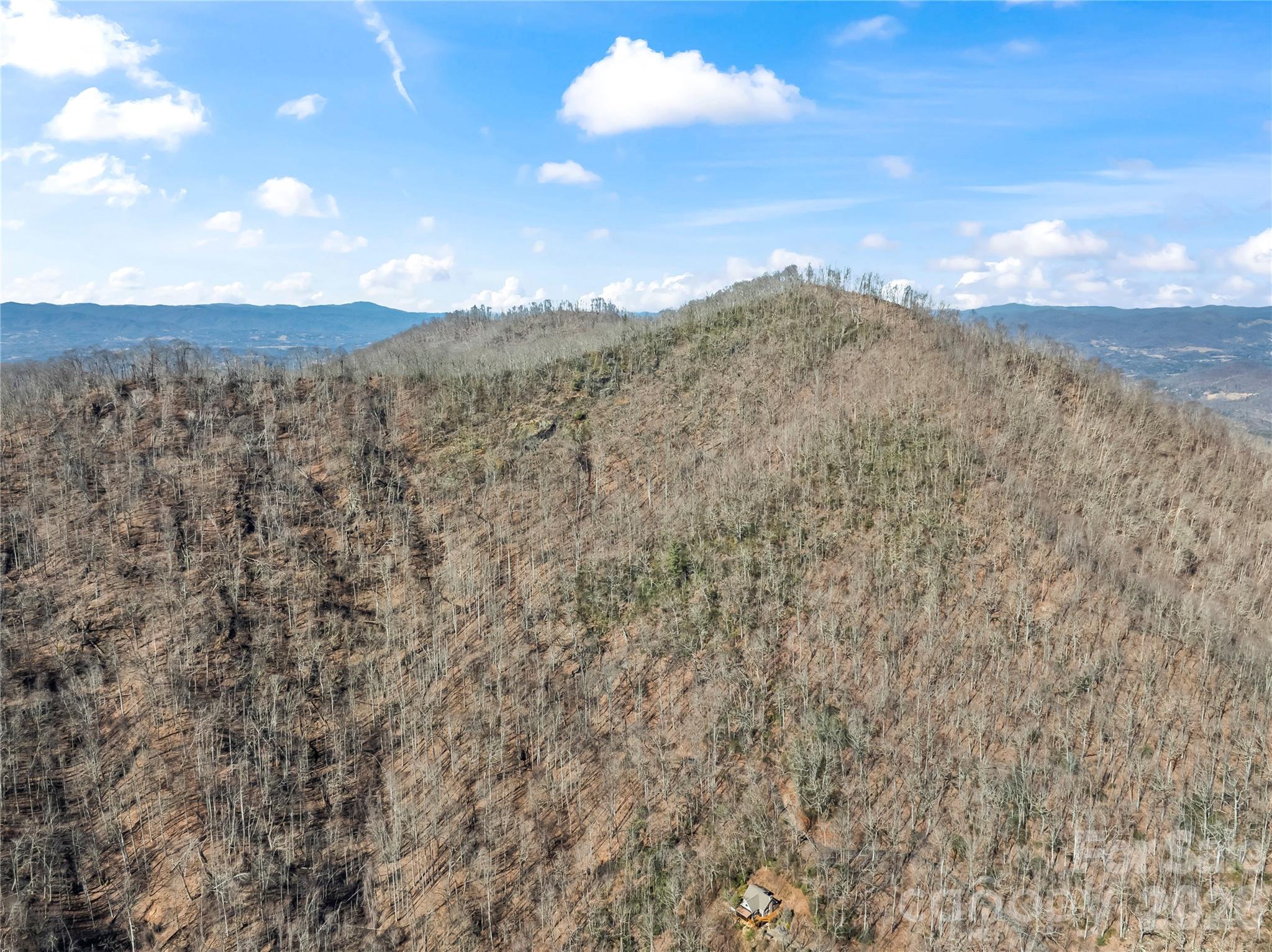 31 Reillys Blf Road, Unit 2 Barnardsville, NC 28709 - Photo 9 of 13