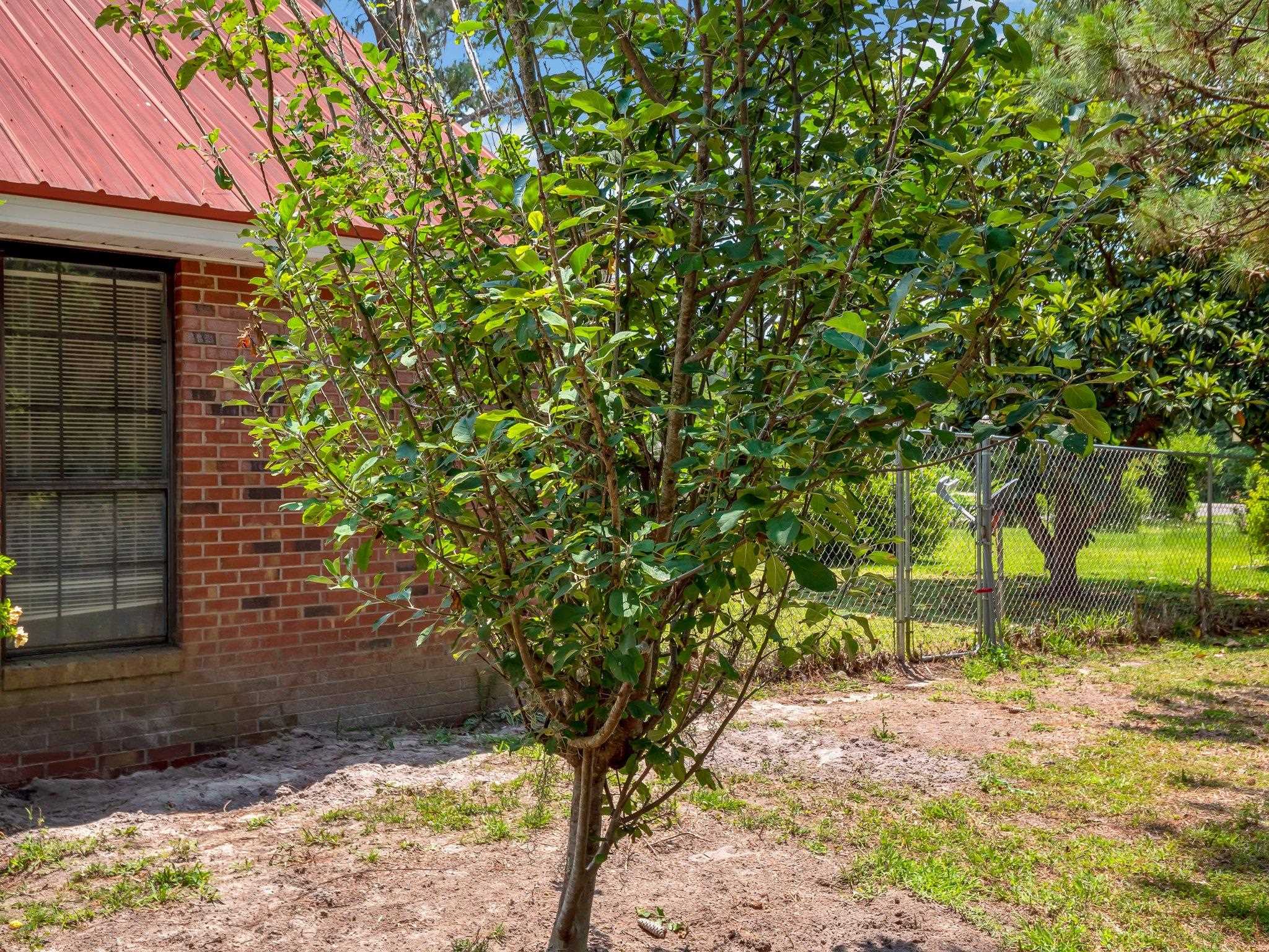 130 East Dowling Street Perry, FL 32347 - Photo 8 of 39 Gallery Image 8