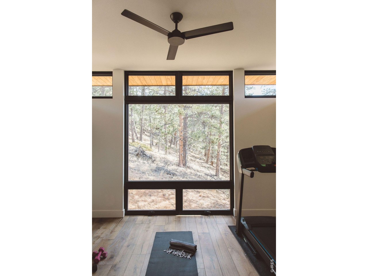 16132 Steller Ridge Road Loveland, CO 80538 - Photo 24 of 50 Primary in suite workout room