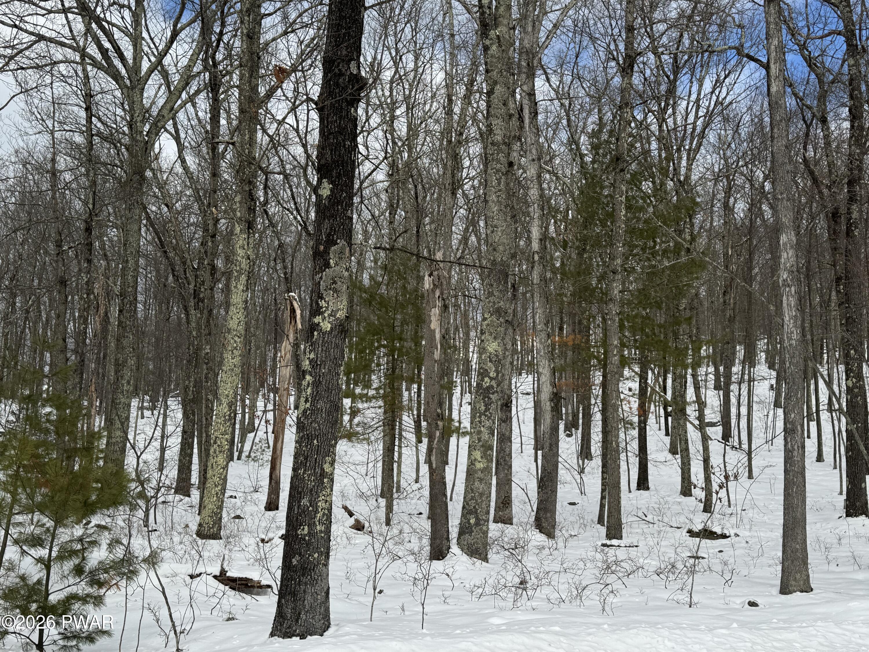 1.12-acres Urban Road Hawley, PA 18428 - Photo 3 of 3