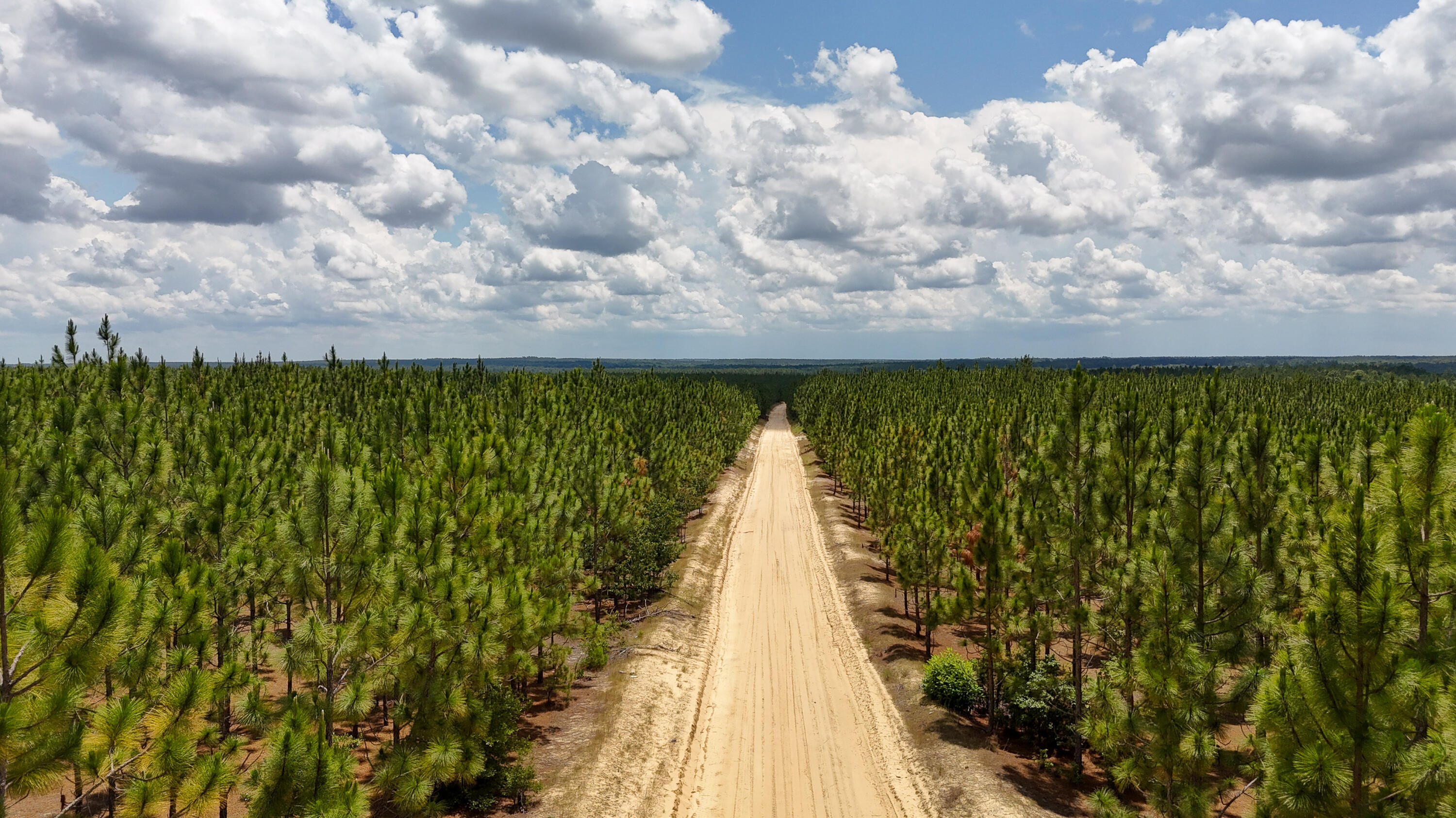 Beaverdam Road Compass South Land Sales