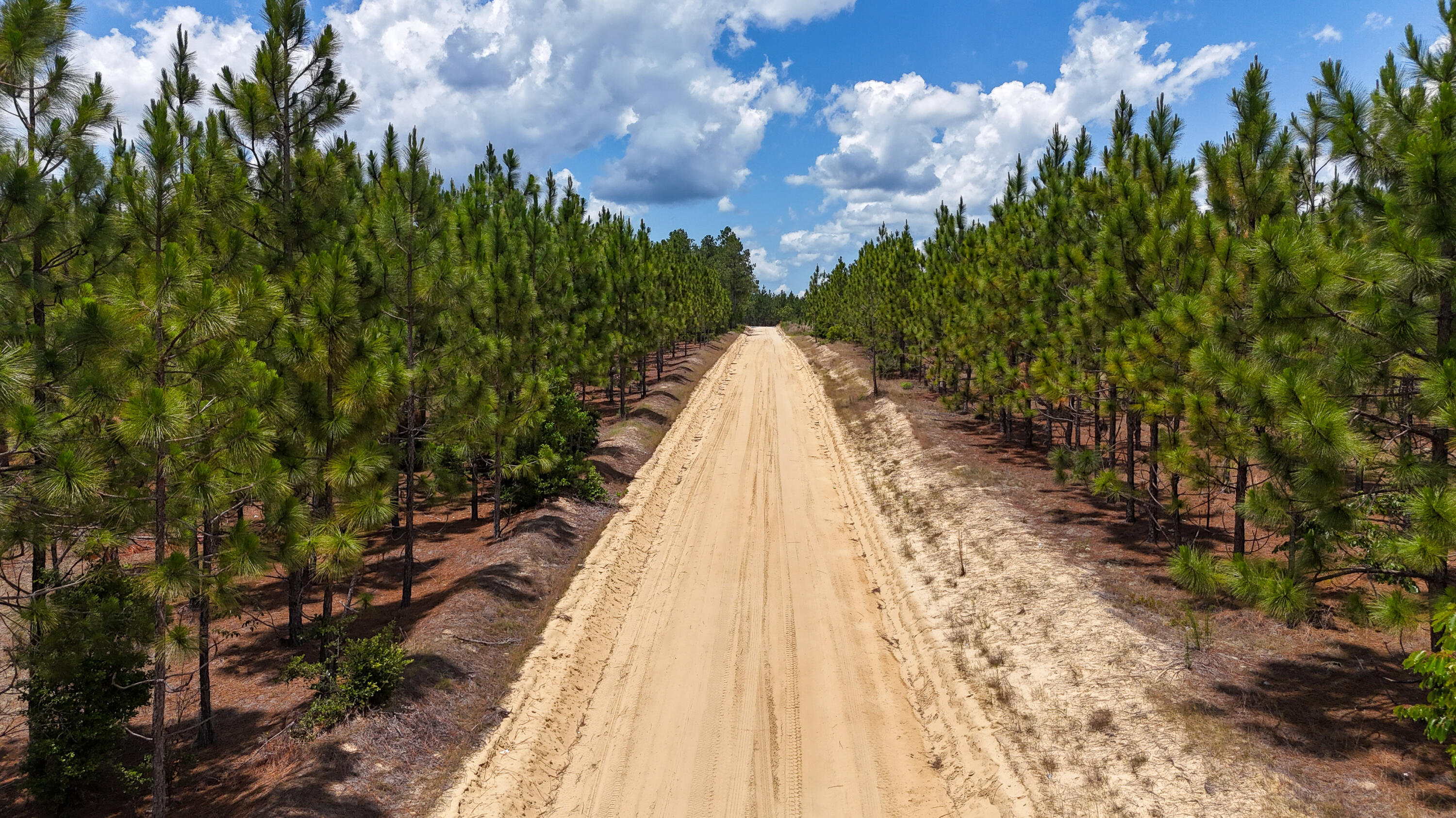0 Beaver Dam Road Cassatt, SC 29032 - Photo 2 of 6 Beaverdam Road Compass South Land Sales