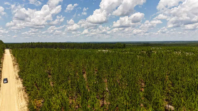 $135,520 | 0 Beaver Dam Road, Cassatt, SC 29032