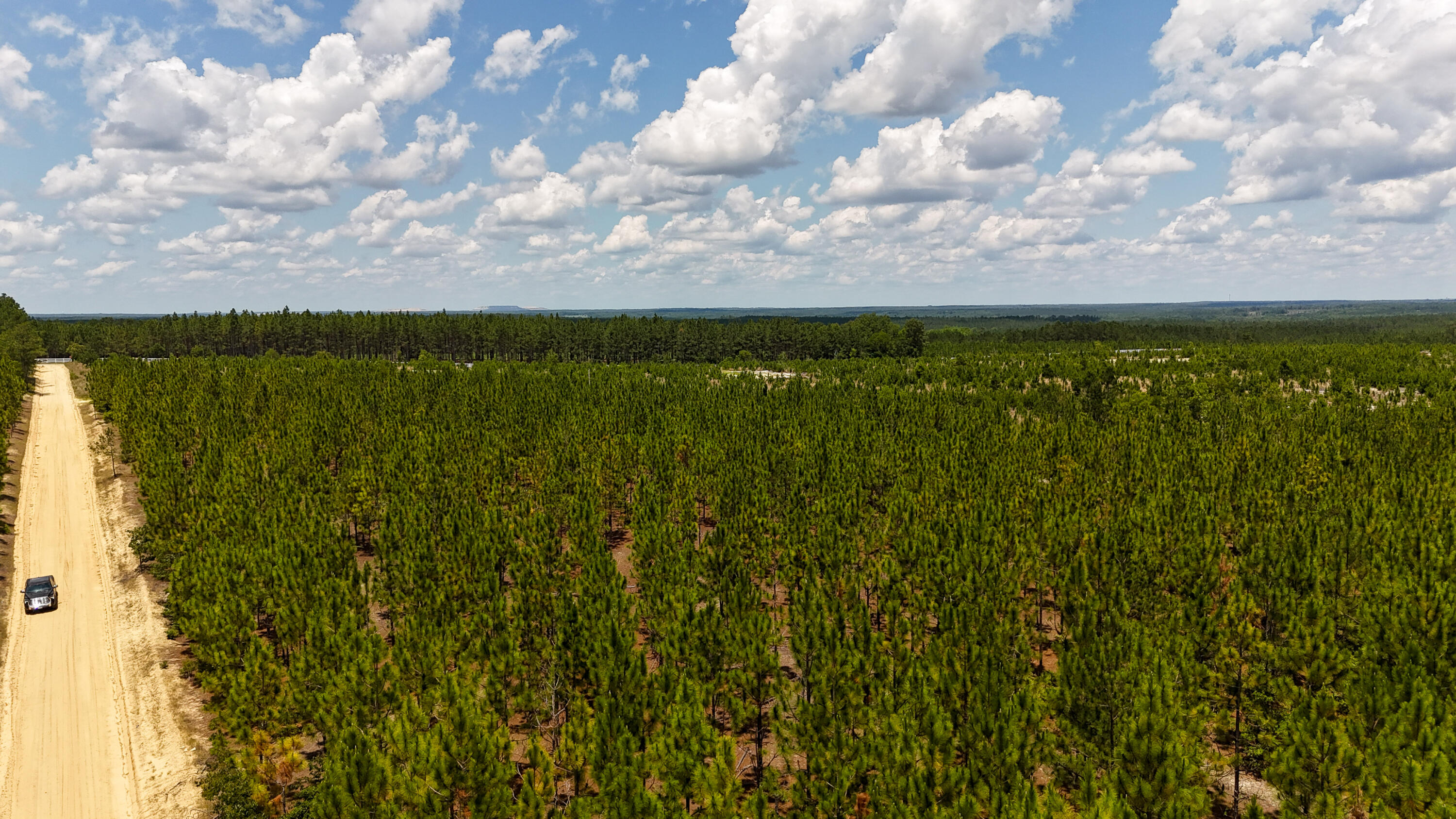 0 Beaver Dam Road Cassatt, SC 29032 - Photo 3 of 6 Beaverdam Road Compass South Land Sales