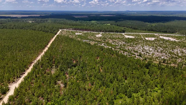 $135,520 | 0 Beaver Dam Road, Cassatt, SC 29032