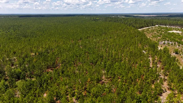 $135,520 | 0 Beaver Dam Road, Cassatt, SC 29032