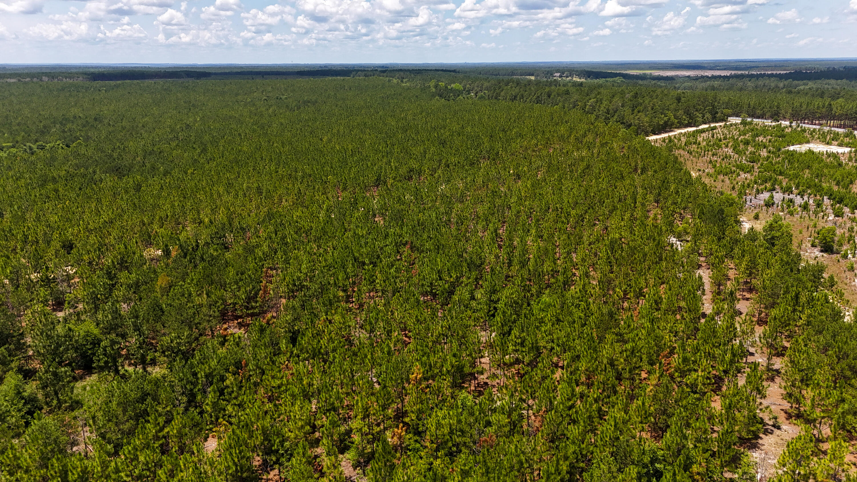 0 Beaver Dam Road Cassatt, SC 29032 - Photo 6 of 6 Beaverdam Road Compass South Land Sales