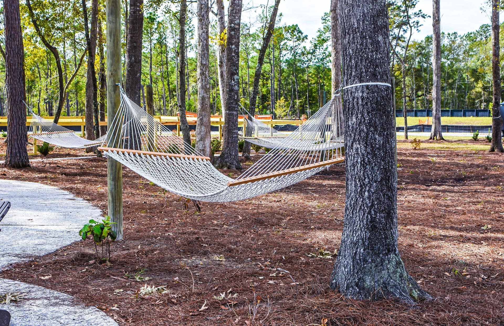 3063 Sturbridge Road Mount Pleasant, SC 29466 - Photo 30 of 33 Hammocks