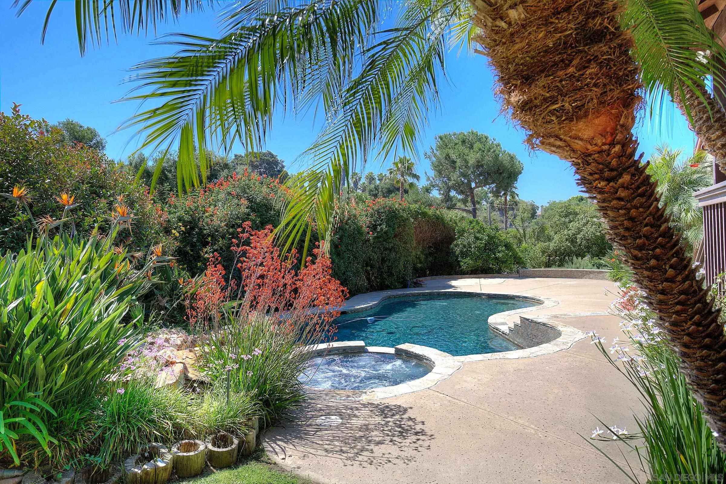 1032 Los Alisos Drive North Fallbrook, CA 92028 - Photo 37 of 44 a view of a yard with a tree