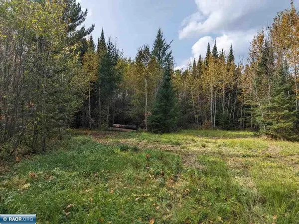 $49,900 | Tbd Tbd Deer River, Littlefork, MN 56653