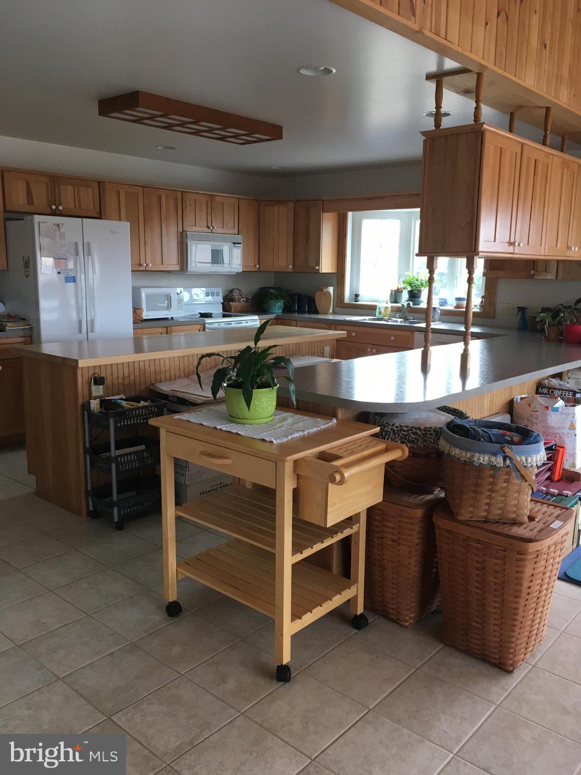 308 Martin Road Carlisle, PA 17015 - Photo 5 of 18 Plenty of kitchen storage
