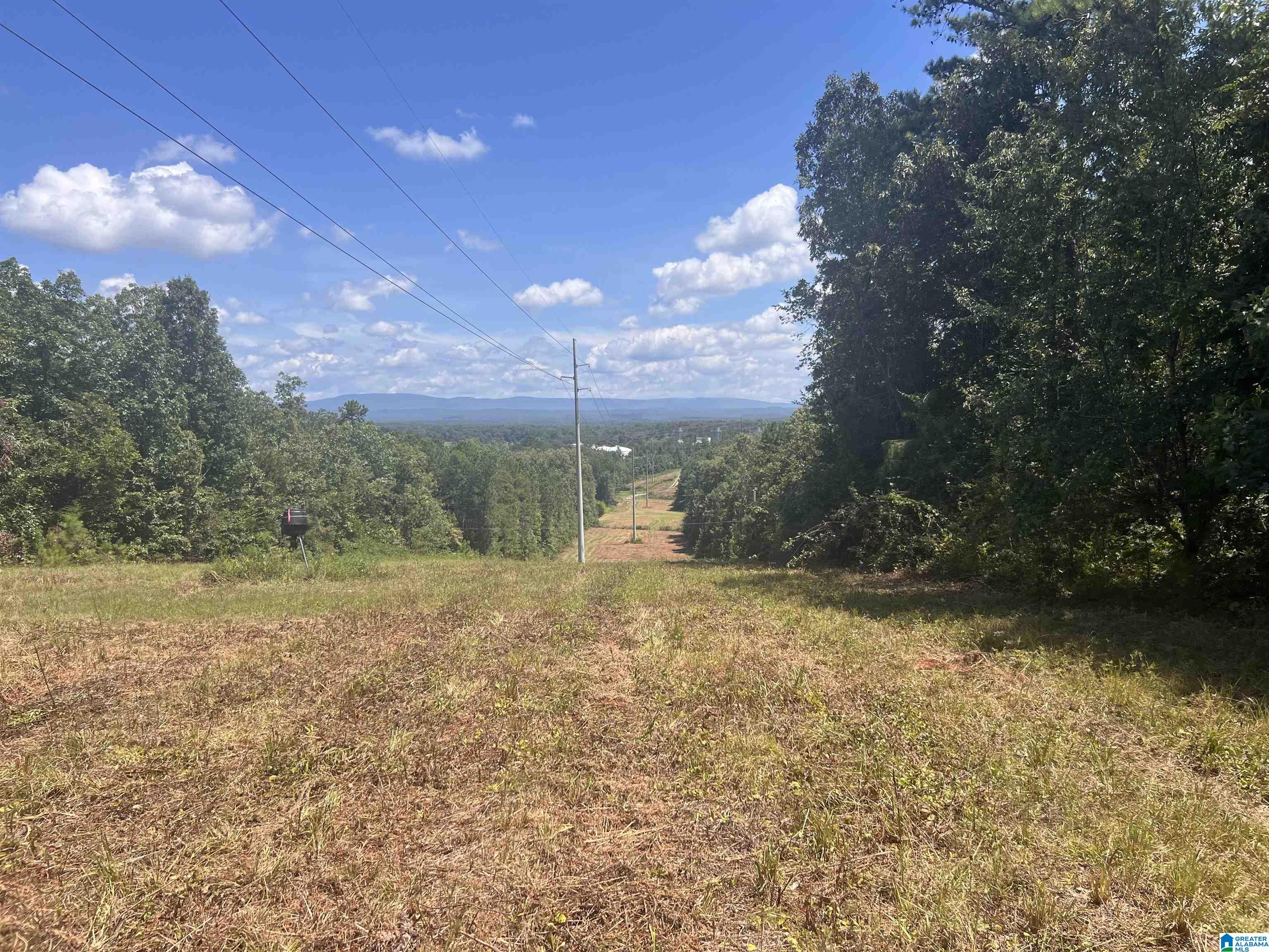 175 Shady Hollow Road Eastaboga, AL 36260 - Photo 3 of 50