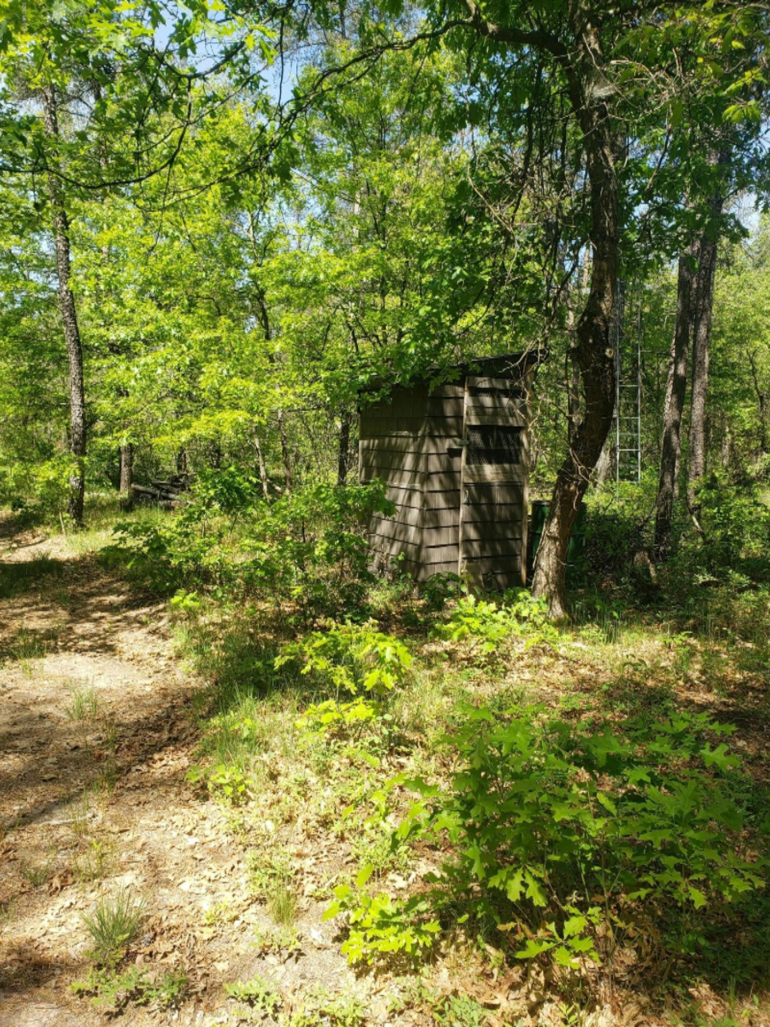 11407 North Forman Road Irons, MI 49644 - Photo 31 of 40 20200608_114015