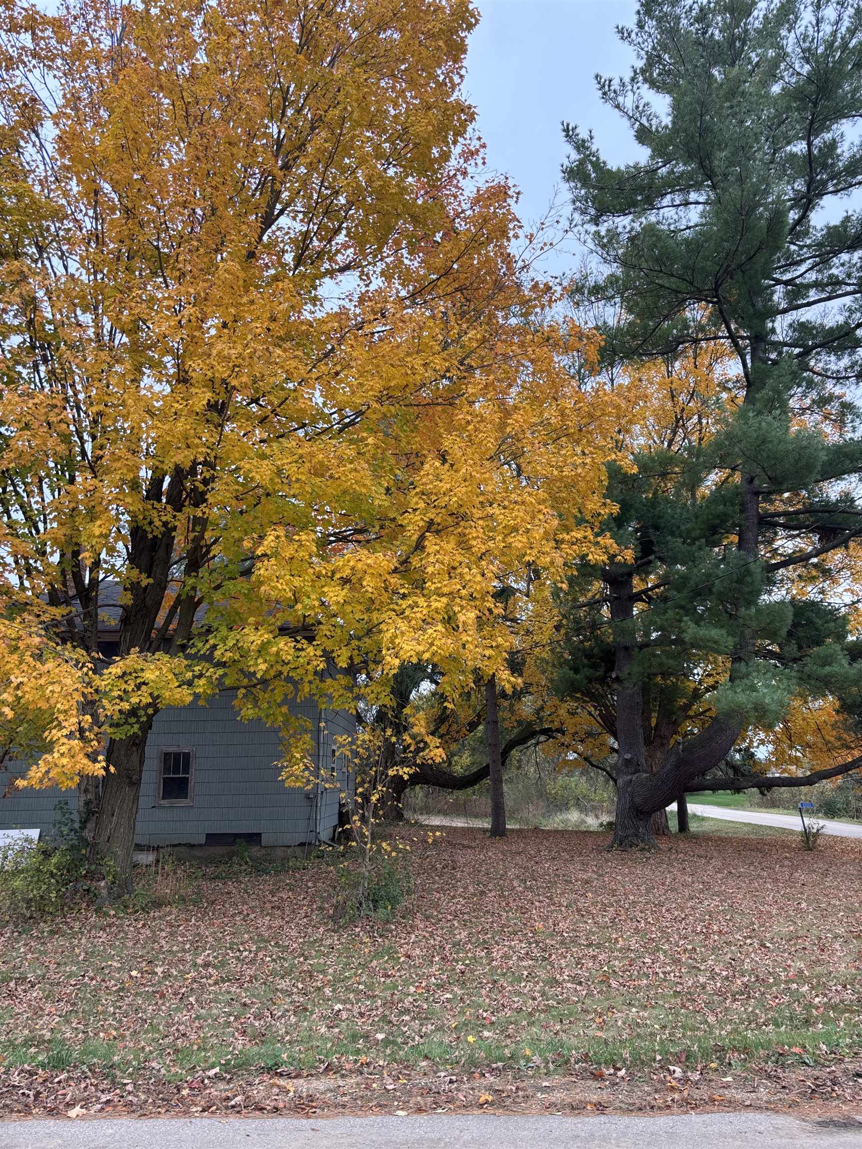 S7321 New Haven Road North Freedom, WI 53951 - Photo 2 of 14