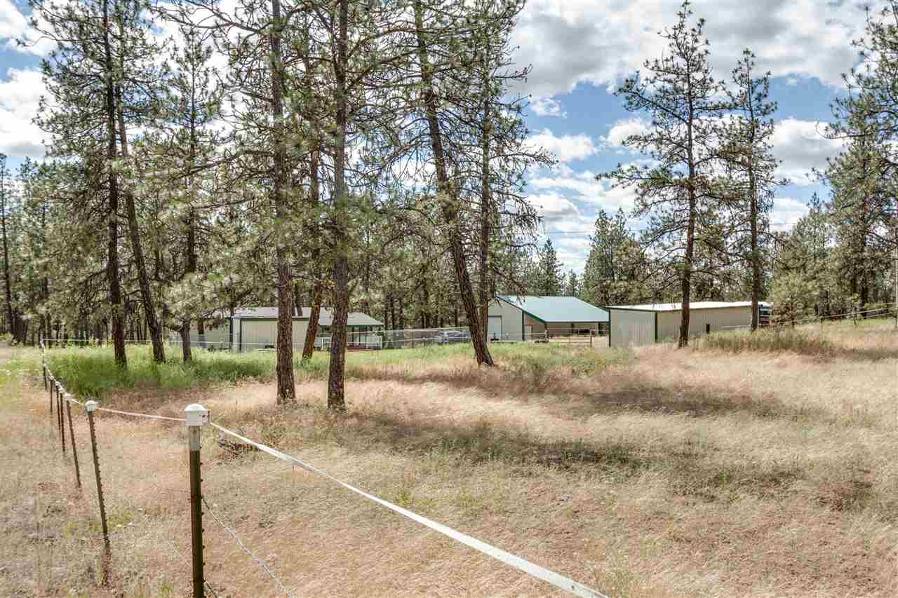 26128 West Carman Road Cheney, WA 99004 - Photo 19 of 20