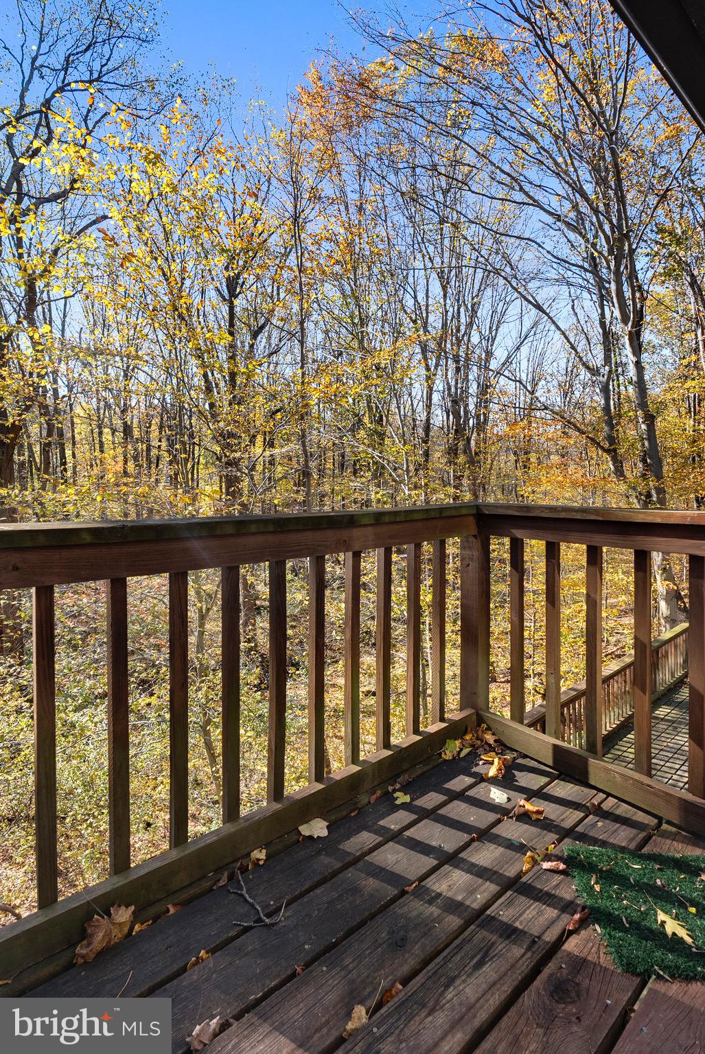 36 Constantine Drive Phoenix, MD 21131 - Photo 27 of 41 view from the primary bedroom balcony